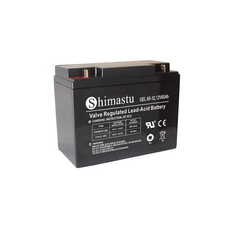 Akumulator żelowy 12V 60Ah